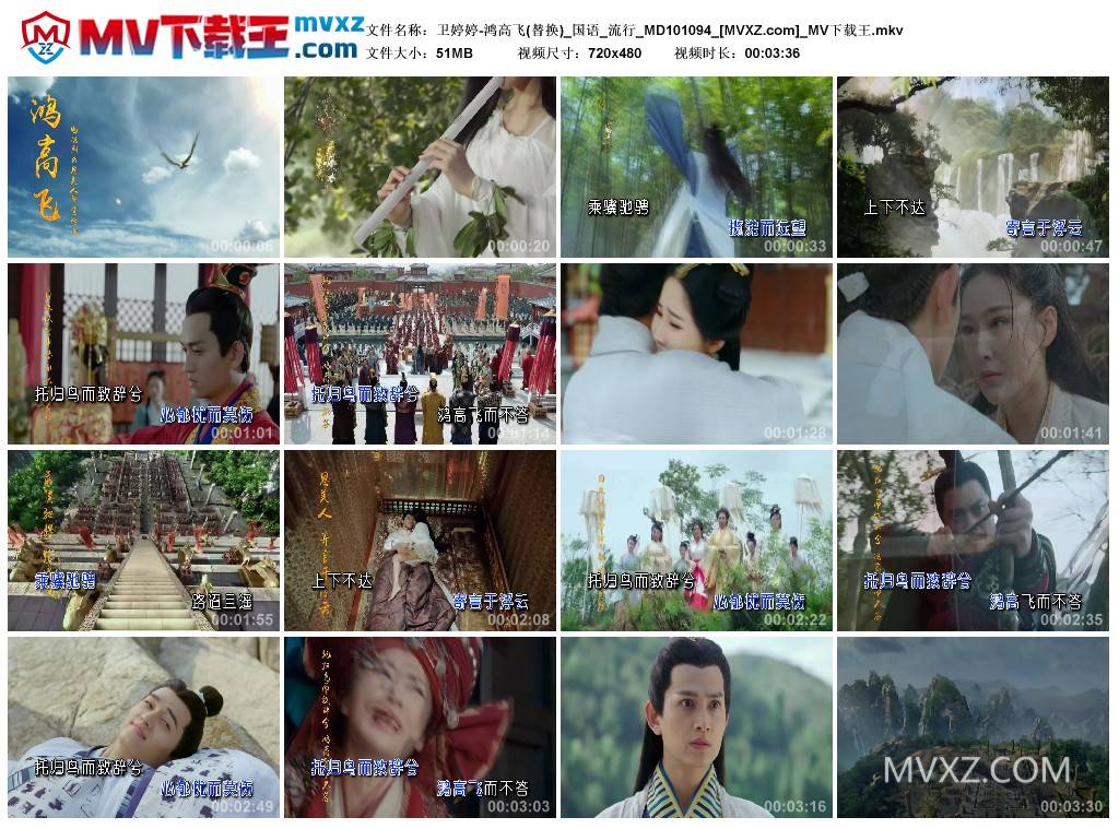 卫婷婷-鸿高飞(替换)_国语_流行_MD101094